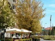 Appartamento in vendita di 107 m² in Via Sofonisba...