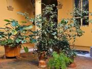 Appartamento in vendita di 110 m²