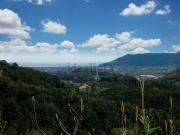 Appartamento in vendita di 110 m² in Via Falcinello, 21