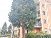 Appartamento in vendita di 115 m² in Via A. Sciesa, 36