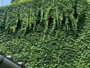 Appartamento in vendita di 115 m² in Via Piero Gobetti