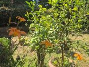 Appartamento in vendita di 120 m² in Via Orazio Vecchi