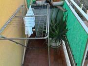 Appartamento in vendita di 125 m² in Via Carlo Cignani, 90
