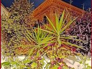 Appartamento in vendita di 125 m² in Via Gorizia, 38