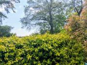 Appartamento in vendita di 127 m² in Strada Moncalvo, 102