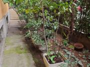 Appartamento in vendita di 131 m² in Via Adolfo Albertazzi