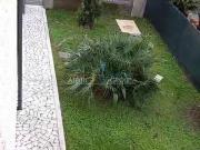 Appartamento in vendita di 135 m² in Via delle Pinete, 87