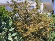 Appartamento in vendita di 135 m² in Via E. Alessandrini, 18