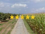 Appartamento in vendita di 135 m² in Via Monea Oltrestura