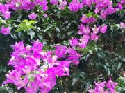 Appartamento in vendita di 140 m²