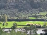 Appartamento in vendita di 140 m² in Via dei Gigli, 7