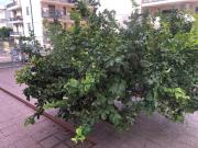 Appartamento in vendita di 144 m² in Via Solfatara, 17