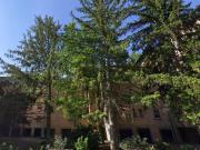 Appartamento in vendita di 149 m² in Via Algeria Appartamento in vendita di 149 m² in Via Algeria