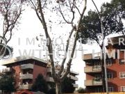 Appartamento in vendita di 150 m² in Via della Magliana