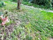 Appartamento in vendita di 150 m² in Via Viaccia