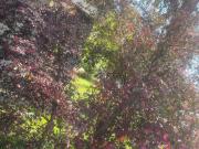 Appartamento in vendita di 155 m² in Via Filippo Juvara