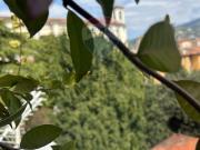 Appartamento in vendita di 160 m²