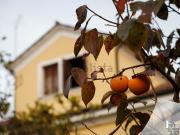 Appartamento in vendita di 160 m² in Strada Terraglio, 102