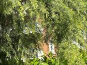 Appartamento in vendita di 160 m² in Via Francesco...