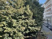 Appartamento in vendita di 160 m² in Via Lecco, 22