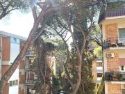 Appartamento in vendita di 163 m² in Via Francesco...