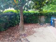 Appartamento in vendita di 165 m²