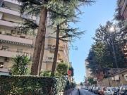 Appartamento in vendita di 165 m² in Viale delle Mimose, 1