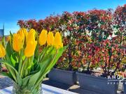 Appartamento in vendita di 168 m² in Via Pietro Moscati, 9