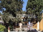 Appartamento in vendita di 175 m² in Via Cornelio Celso
