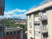 Appartamento in vendita di 177 m² in Via Orchidea