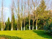 Appartamento in vendita di 178 m²