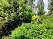 Appartamento in vendita di 180 m² in Via Giorgione