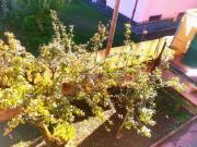 Appartamento in vendita di 180 m² in Via Lago di Albano, 29