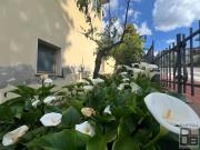Appartamento in vendita di 190 m² in Via Montegufoni, 66
