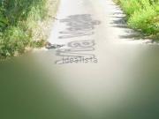 Appartamento in vendita di 203 m² in Via Vaglie, 36