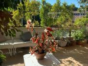 Appartamento in vendita di 209 m² in Via Andrea del Castagno Appartamento in vendita di 209 m² in Via Andrea del Castagno