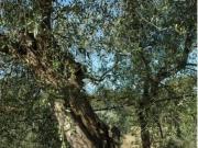 Appartamento in vendita di 220 m² in Strada Provinciale...
