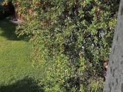 Appartamento in vendita di 220 m² in Via Sibelius