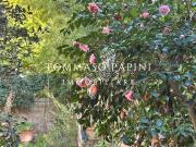 Appartamento in vendita di 240 m² in Via del Ghirlandaio, 28