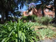 Appartamento in vendita di 260 m² in Via delle Agave