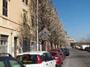 Appartamento in vendita di 27 m² in Circonvallazione...