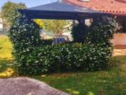 Appartamento in vendita di 27 m² in Via Luigi Pastro