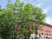 Appartamento in vendita di 280 m² in Piazzale Medaglie...