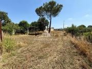 Appartamento in vendita di 30 m² in Via Fregene, 6