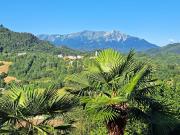 Appartamento in vendita di 30 m² in Via Bonelli