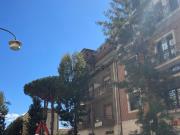 Appartamento in vendita di 327 m² in Corso Trieste, 170