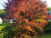 Appartamento in vendita di 330 m² in Via Pian Sciresa