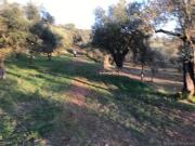 Appartamento in vendita di 350 m² in Via Araietta