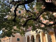 Appartamento in vendita di 35 m² in Viale delle Palme