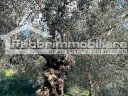 Appartamento in vendita di 43 m²